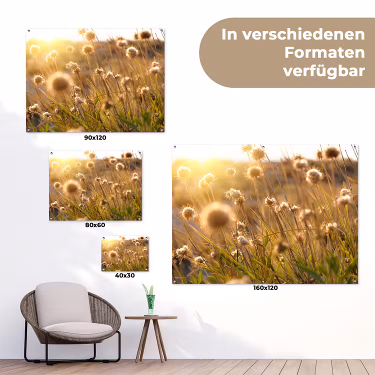 Verlichte zaadhoofden in de avondzon tuinposter los doek klein -Xsfeer9_DE