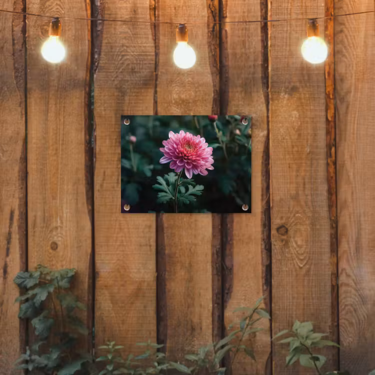 Blad - Chrysant - Roze - Schaduw tuinposter los doek klein -sfeer1