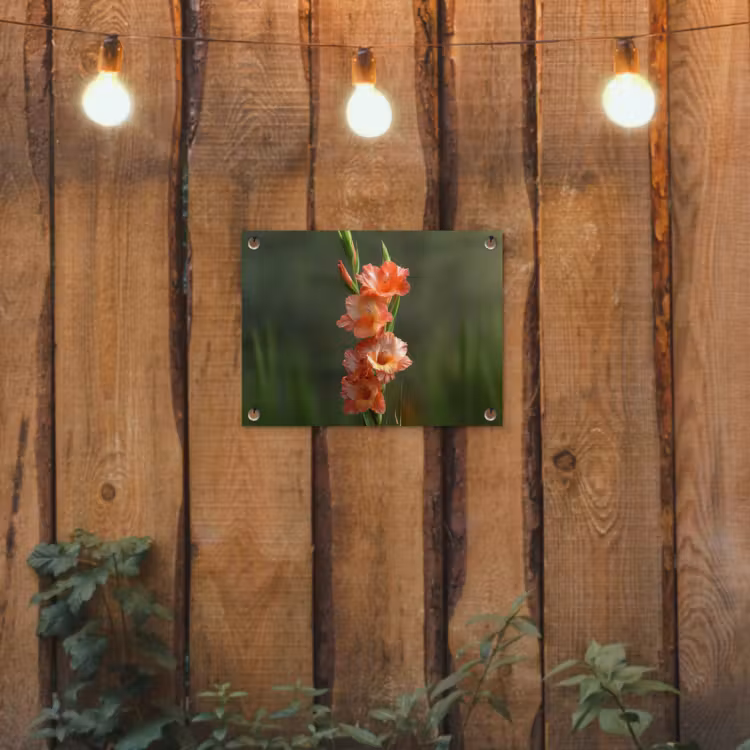 Bloem - Gladiolen - Zalmroze tuinposter los doek klein -sfeer1