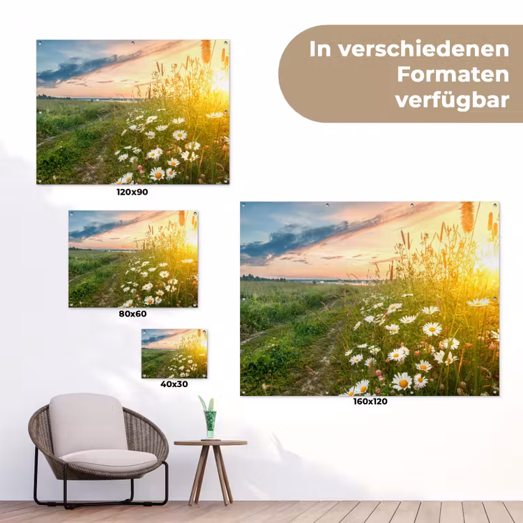 Bloemen - Madelief - Natuur - Zon - Horizon tuinposter los doek klein -Xsfeer9_DE