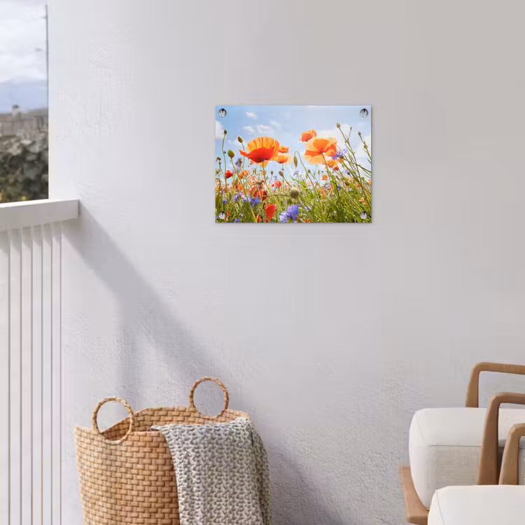Bloemen - Klaproos - Lente - Natuur - Rood - Blauw tuinposter los doek klein -sfeer8
