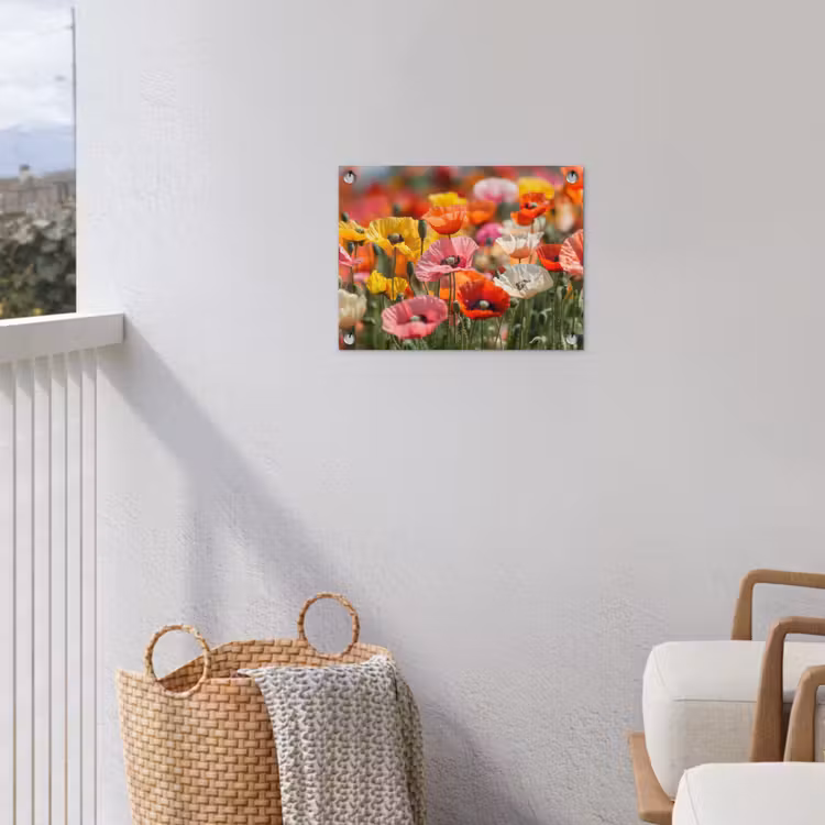 Bloemenveld - Klaprozen - Kleurrijk tuinposter los doek klein -sfeer8