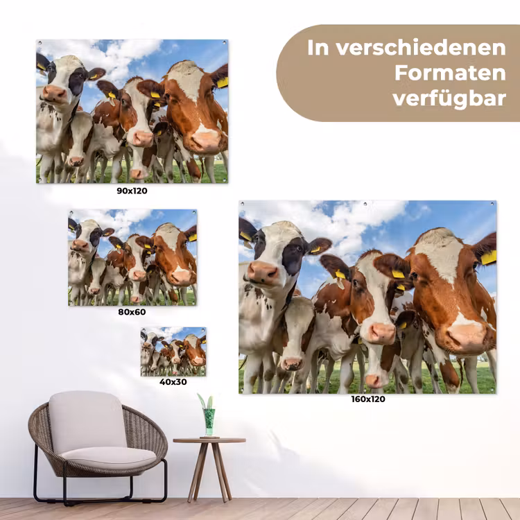 Bruin-witte koeien in de wei tuinposter los doek klein -Xsfeer9_DE