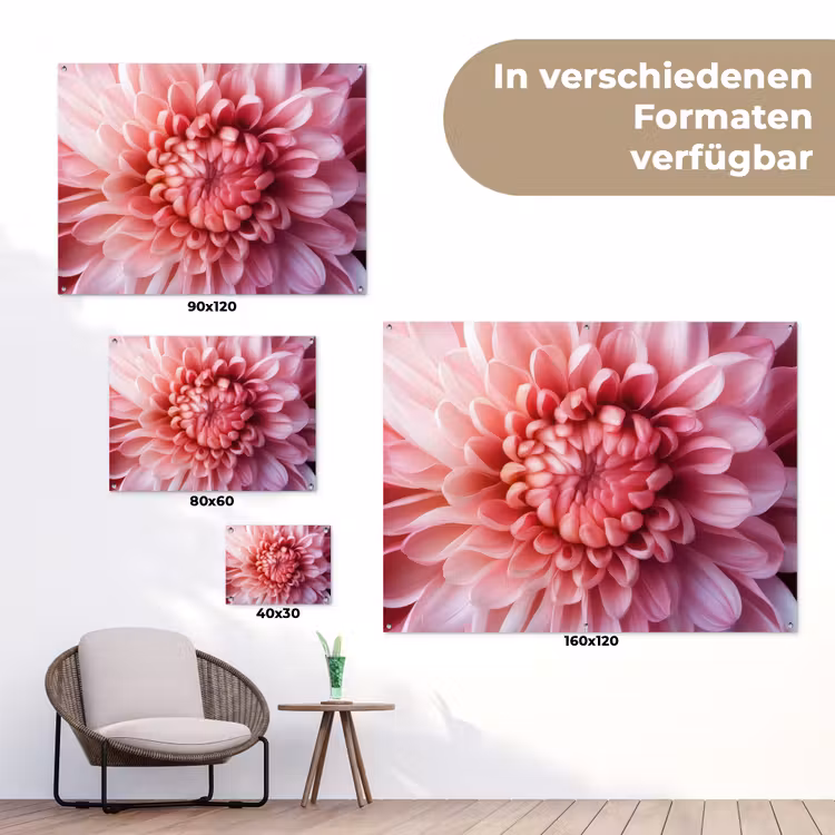 Dahlia - Bloem - Close up - Roze tuinposter los doek klein -Xsfeer9_DE