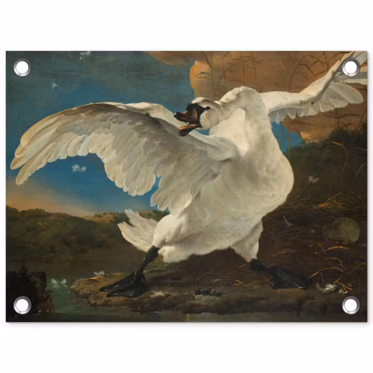 De bedreigde zwaan - Schilderij van Jan Asselijn tuinposter los doek klein -3d
