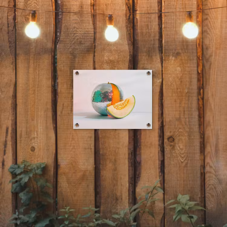 Disco - Discobal - Meloen - Pastel tuinposter los doek klein -sfeer1