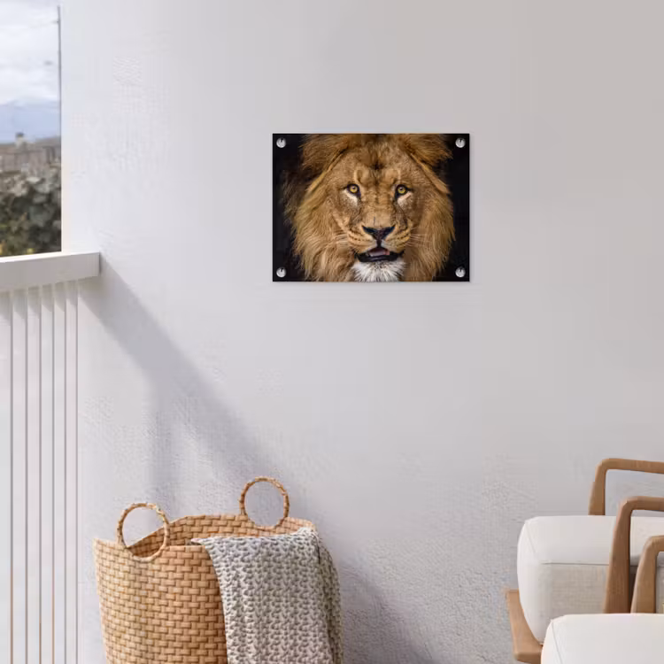 Indrukwekkend portret van een leeuw tuinposter los doek klein -sfeer8