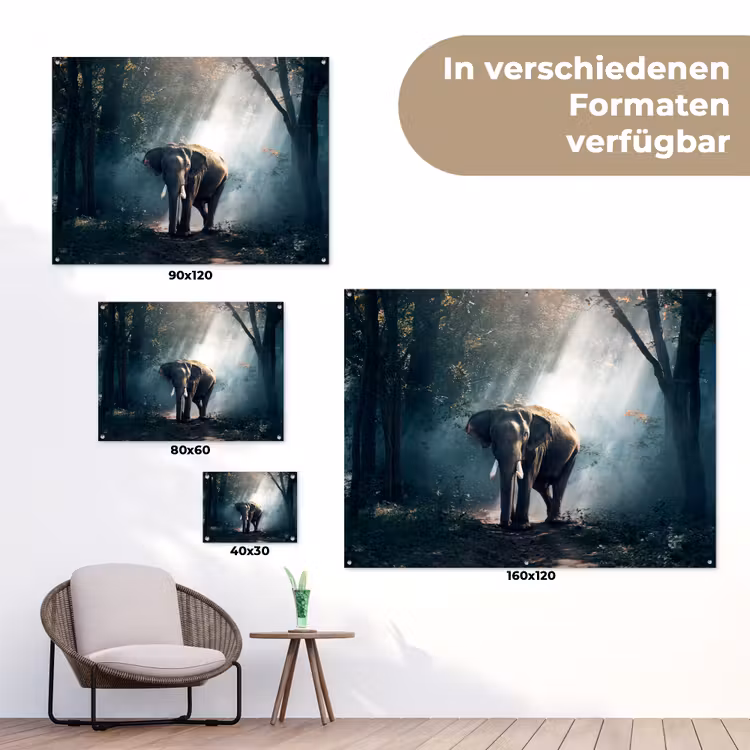 Olifant in mystiek bos tuinposter los doek klein -Xsfeer9_DE