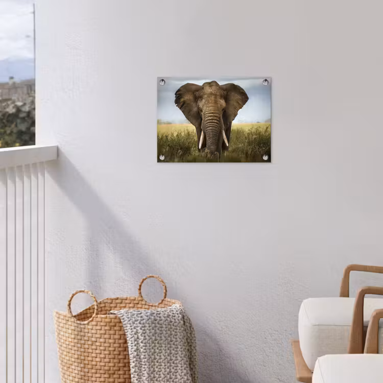 Olifant in de savanne tuinposter los doek klein -sfeer8