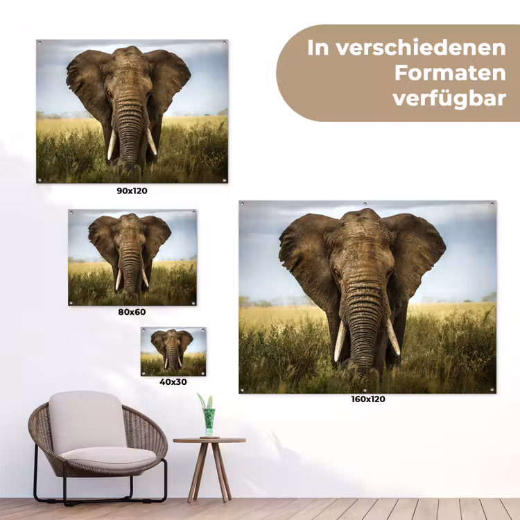 Olifant in de savanne tuinposter los doek klein -Xsfeer9_DE