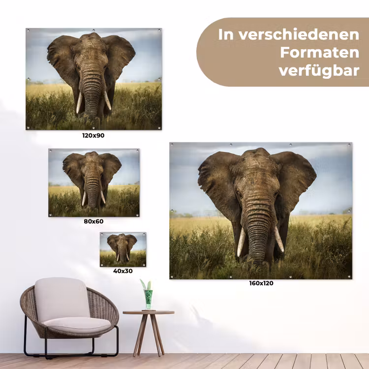 Olifant - Natuur - Gras - Dieren - Landschap tuinposter los doek klein -Xsfeer9_DE