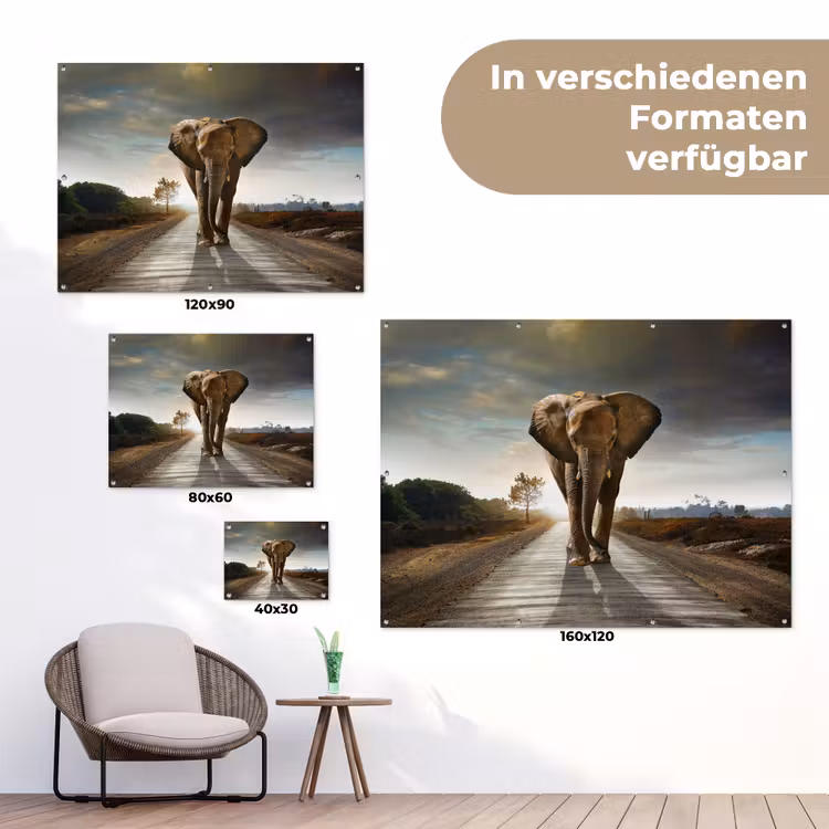 Olifant - Weg - Dieren - Zonsondergang - Landschap tuinposter los doek klein -Xsfeer9_DE
