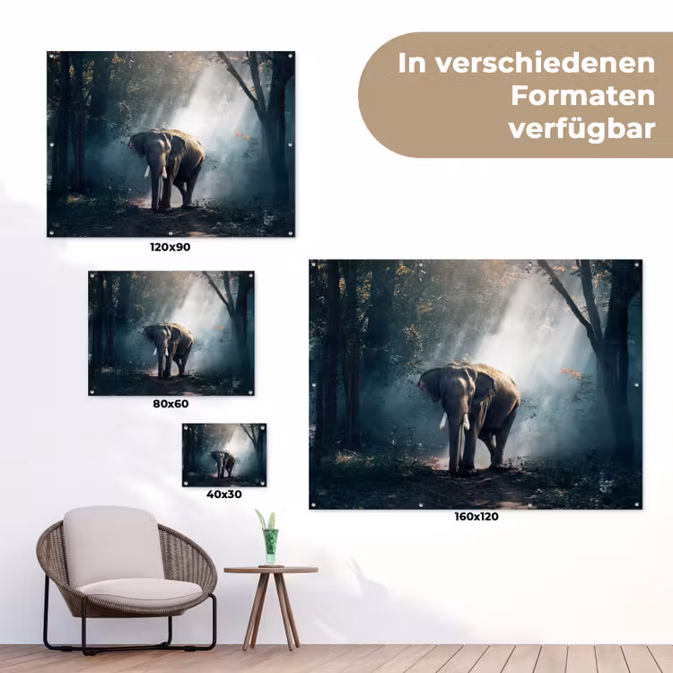 Olifant - Dieren - Licht - Bos - Natuur - Wilde dieren tuinposter los doek klein -Xsfeer9_DE