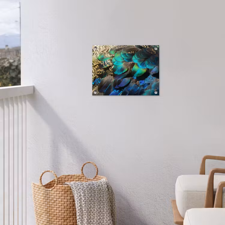 Veren - Pauwveren - Pauw - Blauw - Kunst tuinposter los doek klein -sfeer8