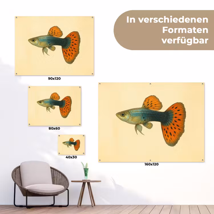 Vis - illustratie - Stippen - Oranje tuinposter los doek klein -Xsfeer9_DE