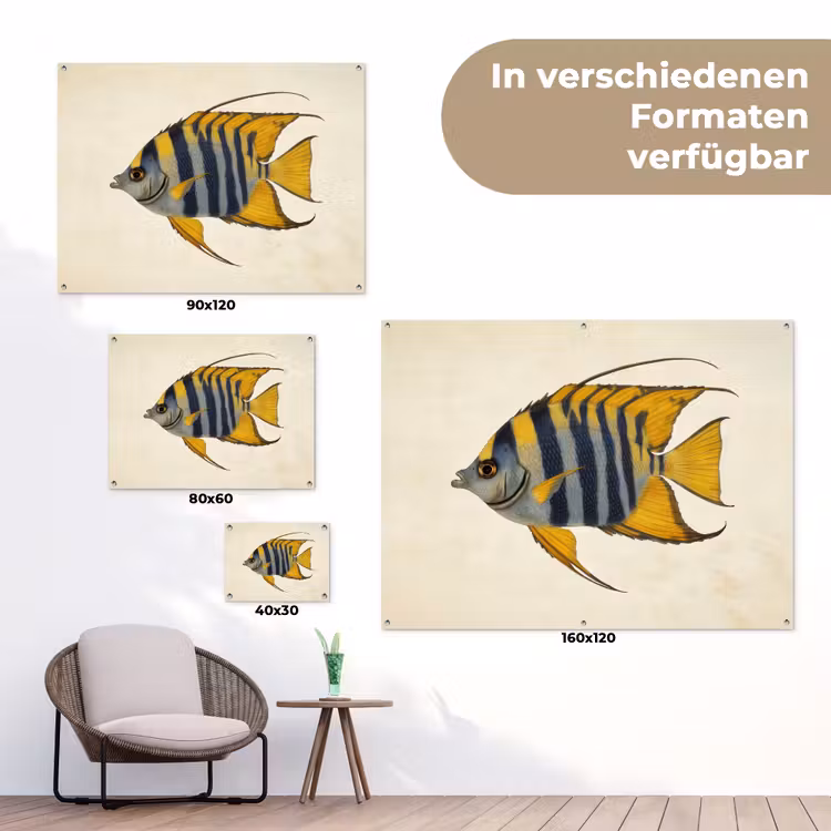 Vis - Sierlijk - Vinnen - Illustratie tuinposter los doek klein -Xsfeer9_DE