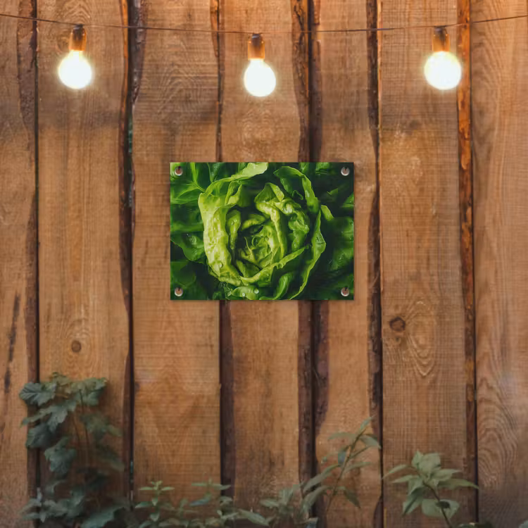 Groente - Sla - Groen tuinposter los doek klein -sfeer1