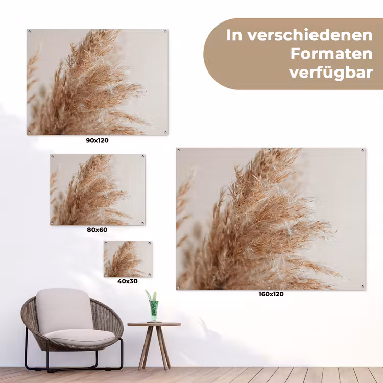Gedroogd pampasgras tegen een neutrale achtergrond tuinposter los doek klein -Xsfeer9_DE