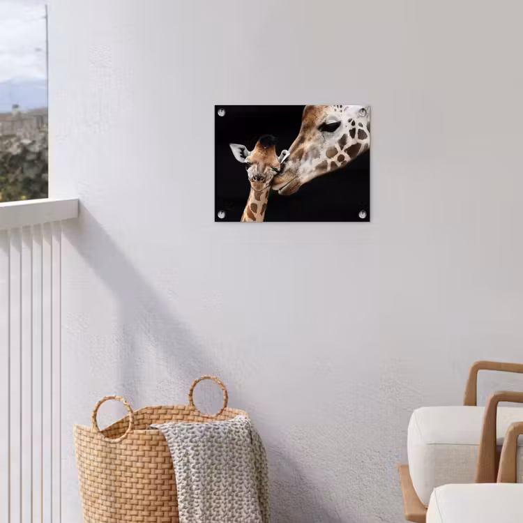 Giraffe - Dieren - Zwart - Portret - Dieren tuinposter los doek klein -sfeer8