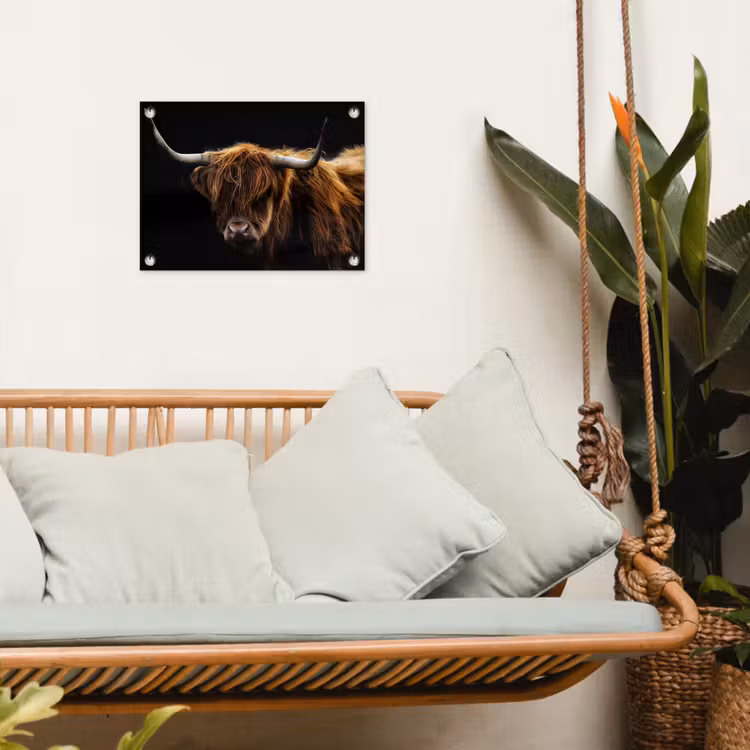 Hooglander tegen Zwarte Achtergrond tuinposter los doek klein -sfeer7