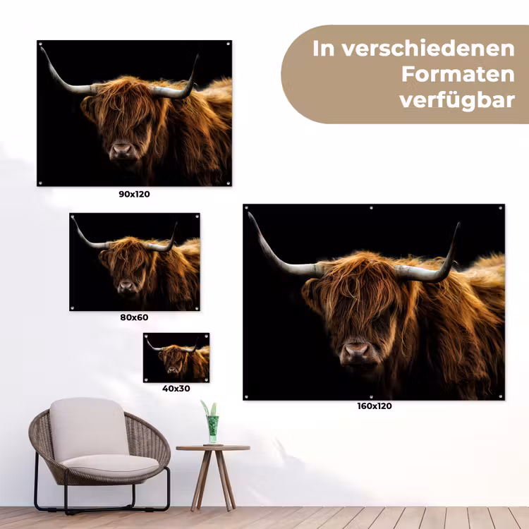 Hooglander tegen Zwarte Achtergrond tuinposter los doek klein -Xsfeer9_DE