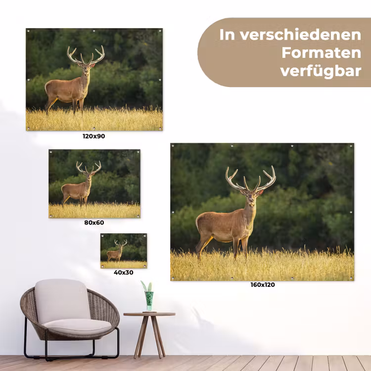 Hert - Gewei - Gras - Natuur - Dieren - Groen tuinposter los doek klein -Xsfeer9_DE