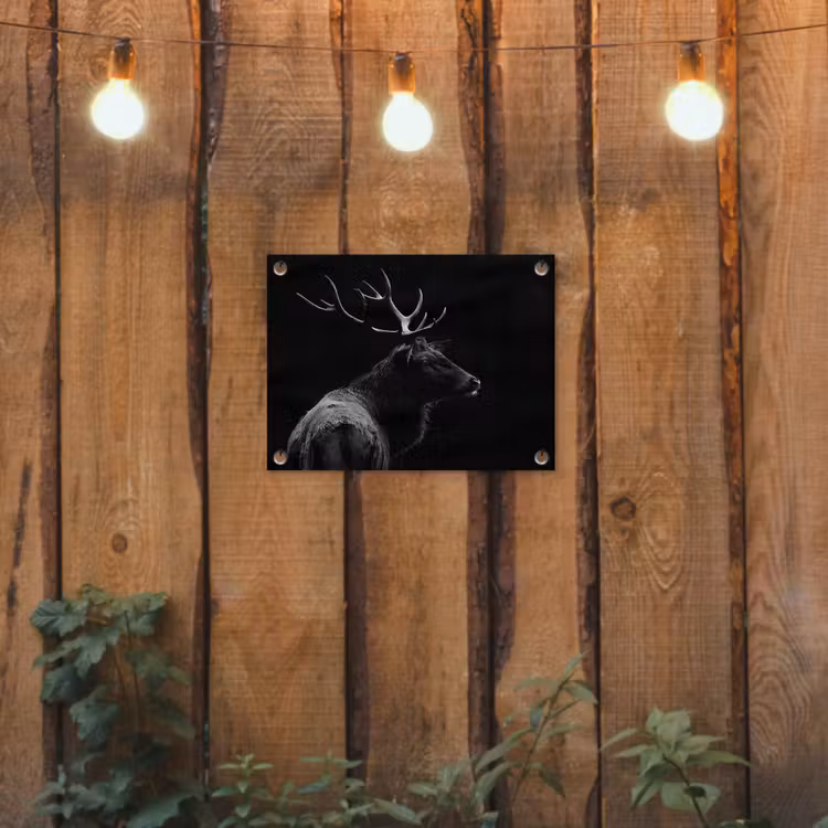 Hert - Zwart - Portret - Gewei - Dieren tuinposter los doek klein -sfeer1