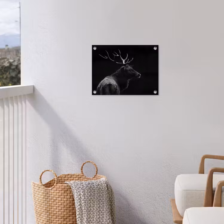 Hert - Zwart - Portret - Gewei - Dieren tuinposter los doek klein -sfeer8