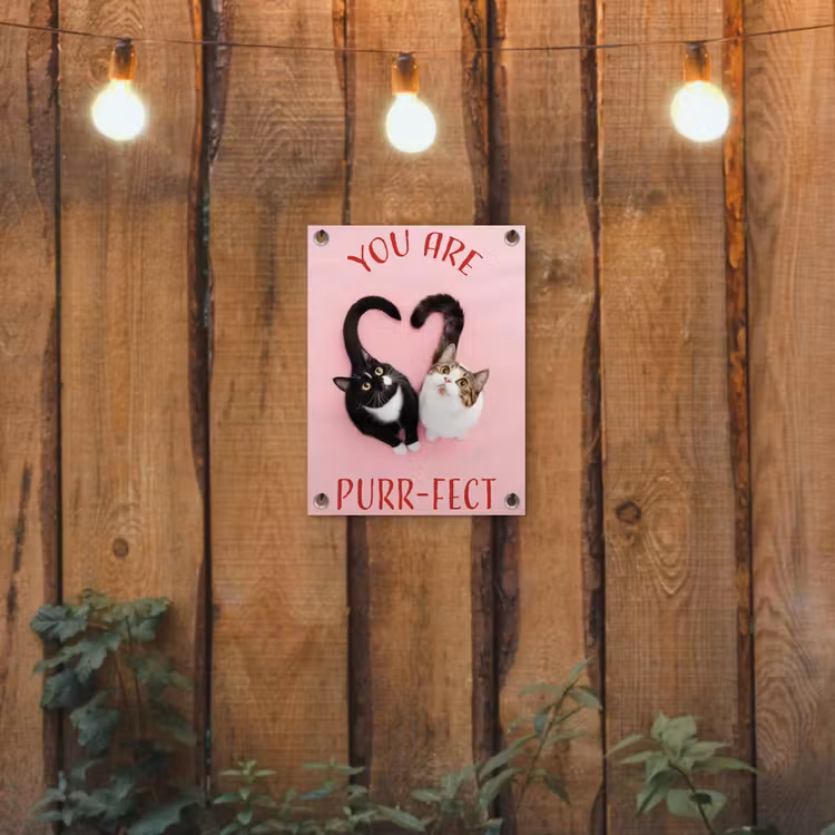Kat - Hart - Tekst - Valentijn tuinposter los doek klein -sfeer1