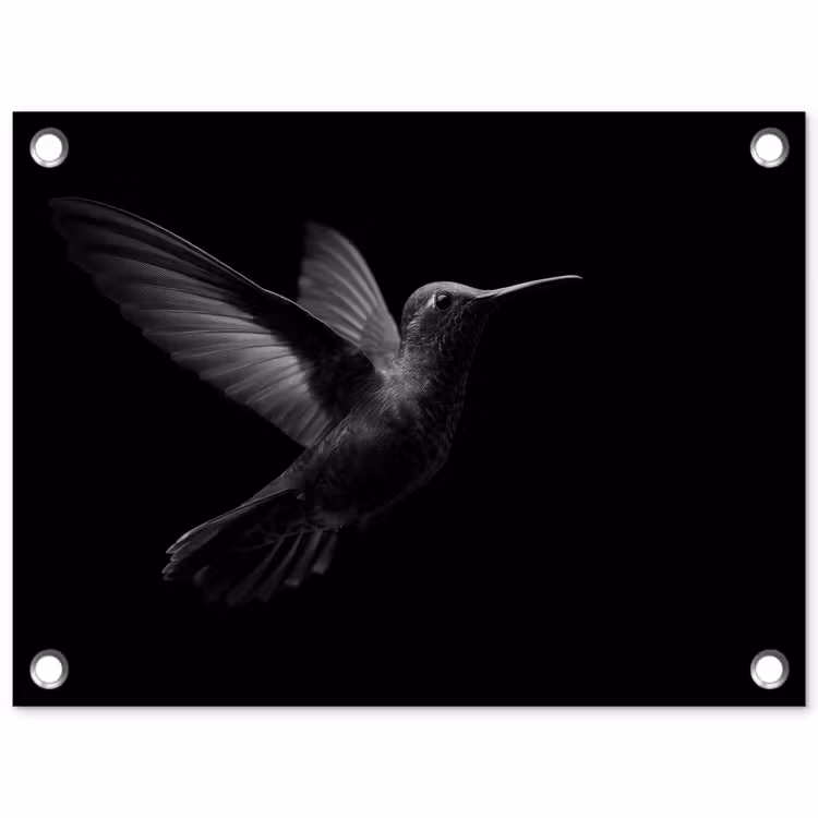 Kolibrie - Zwart - Dieren tuinposter los doek klein -3d