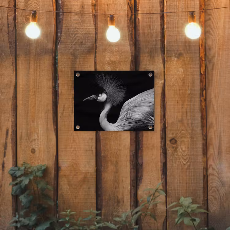 Kraanvogel - Zwart - Wit - Vogel - Dieren tuinposter los doek klein -sfeer1