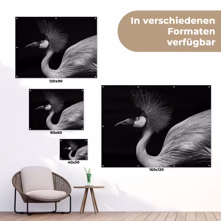 Kraanvogel - Zwart - Wit - Vogel - Dieren tuinposter los doek klein -Xsfeer9_DE
