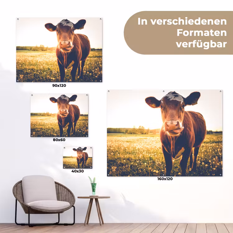 Koe bij zonsondergang op een veld vol paardenbloemen tuinposter los doek klein -Xsfeer9_DE