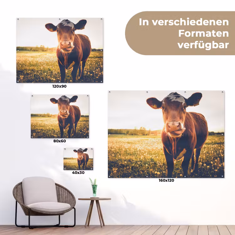 Koe - Zonsondergang - Bloemen - Gras - Dieren tuinposter los doek klein -Xsfeer9_DE