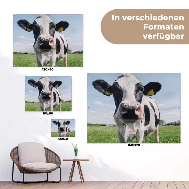 Koe - Weiland - Natuur - Dieren - Gras tuinposter los doek klein -Xsfeer9_DE