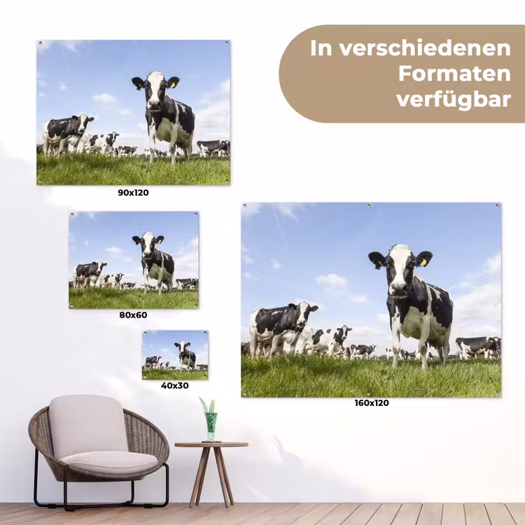 Koeien in de weide onder een heldere lucht tuinposter los doek klein -Xsfeer9_DE