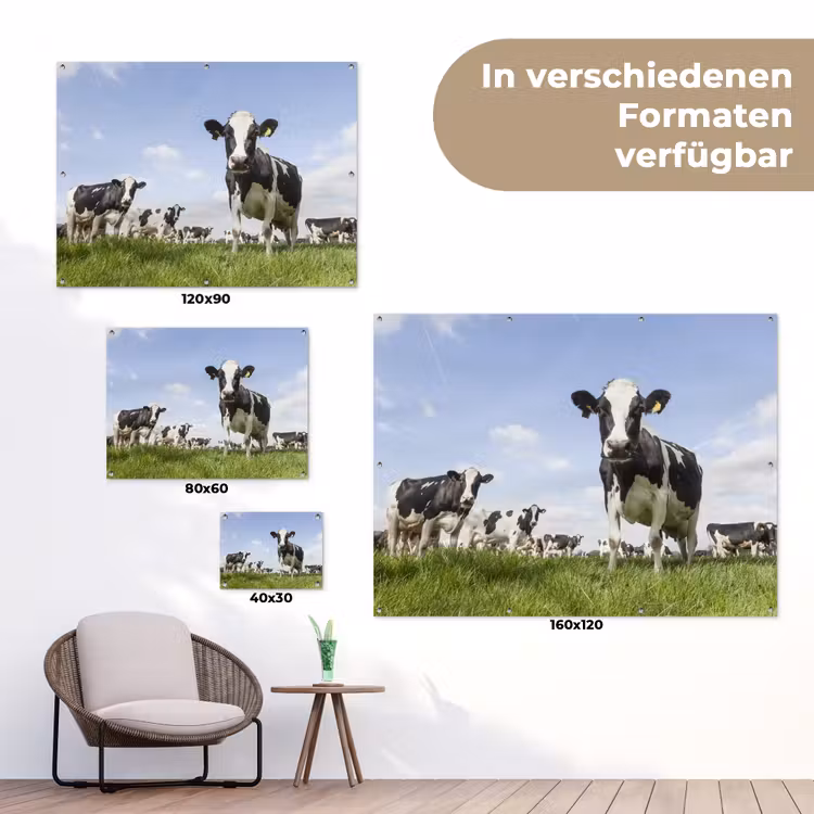 Koeien - Gras - Dieren - Zon - Boerderij tuinposter los doek klein -Xsfeer9_DE