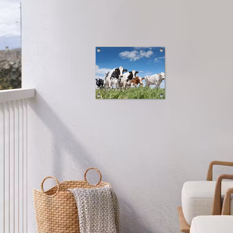 Koeien - Platteland - Weiland - Natuur - Dieren tuinposter los doek klein -sfeer8