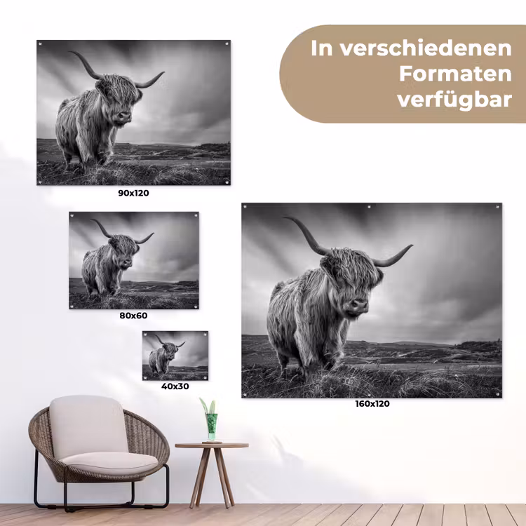 Koeien - Schotse hooglander - Natuur - Dieren - Zwart wit tuinposter los doek klein -Xsfeer9_DE