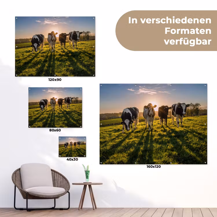 Koeien - Zon - Gras - Dieren - Boerderij tuinposter los doek klein -Xsfeer9_DE