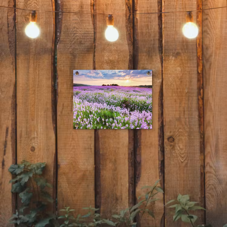 Lavendel - Bloemen - Zonsondergang - Paars - Weide tuinposter los doek klein -sfeer1