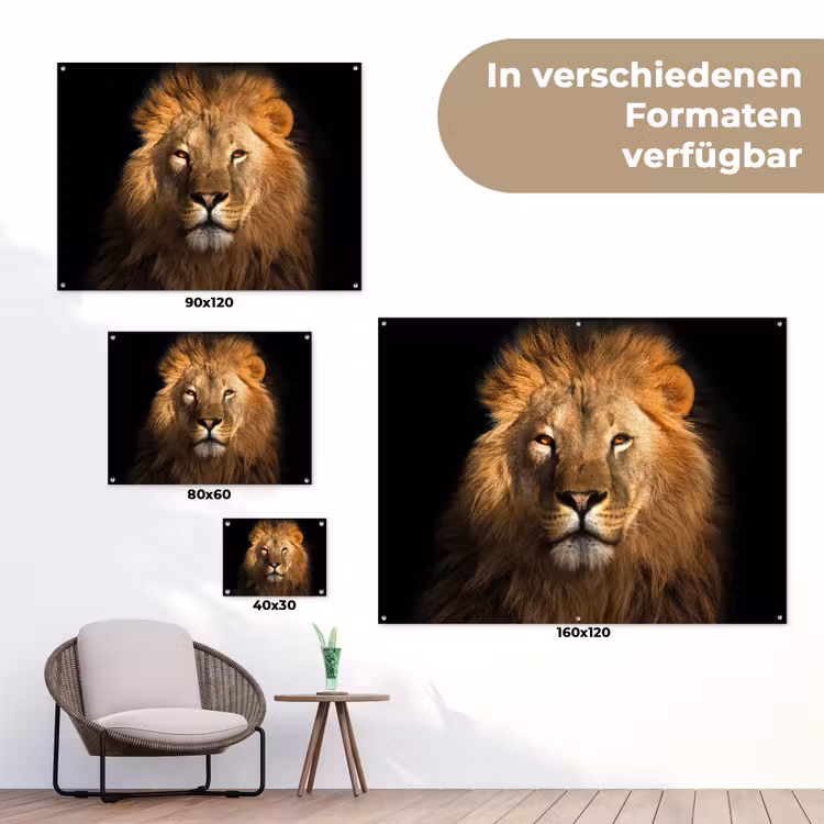 Leeuw in het avondlicht tuinposter los doek klein -Xsfeer9_DE