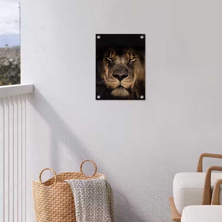 Leeuw in het schaduwlicht tuinposter los doek klein -sfeer8