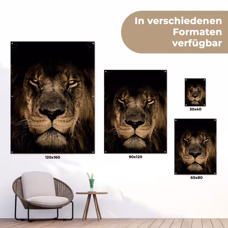 Leeuw in het schaduwlicht tuinposter los doek klein -Xsfeer9_DE