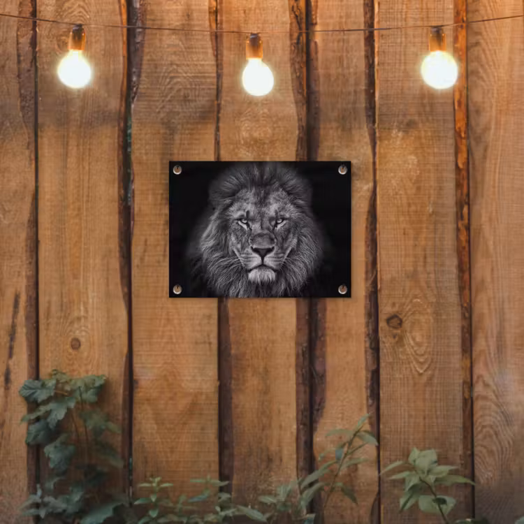 Leeuw - Dieren - Zwart - Wit tuinposter los doek klein -sfeer1