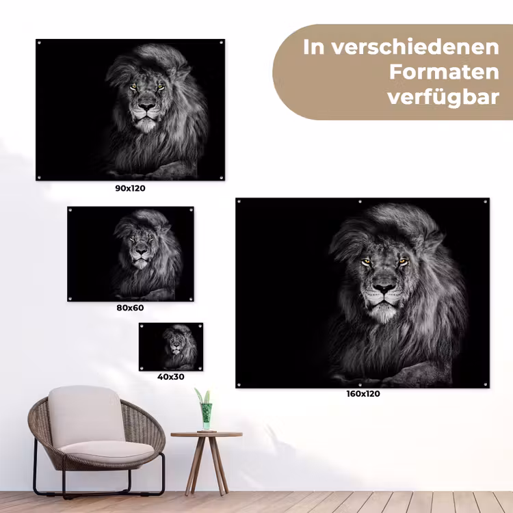 Majestueuze leeuw in de duisternis tuinposter los doek klein -Xsfeer9_DE