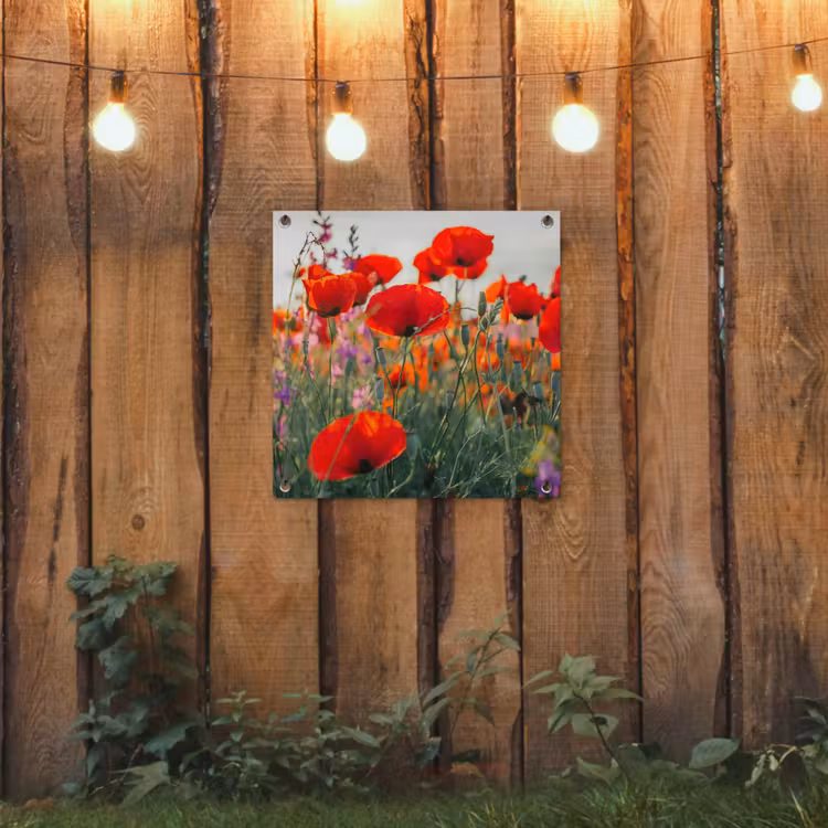 Bloeipracht van Klaprozen tuinposter los doek klein -sfeer1
