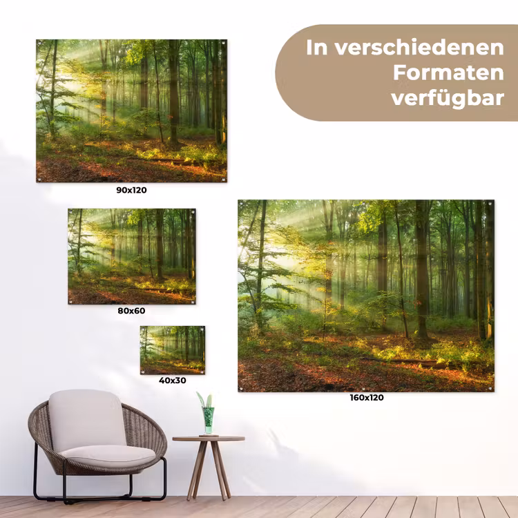 Ochtendlicht in het bos tuinposter los doek klein -Xsfeer9_DE