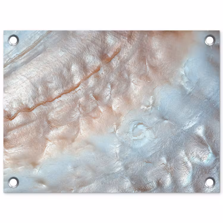 Schelpen - Abstract - Natuur tuinposter los doek klein -3d