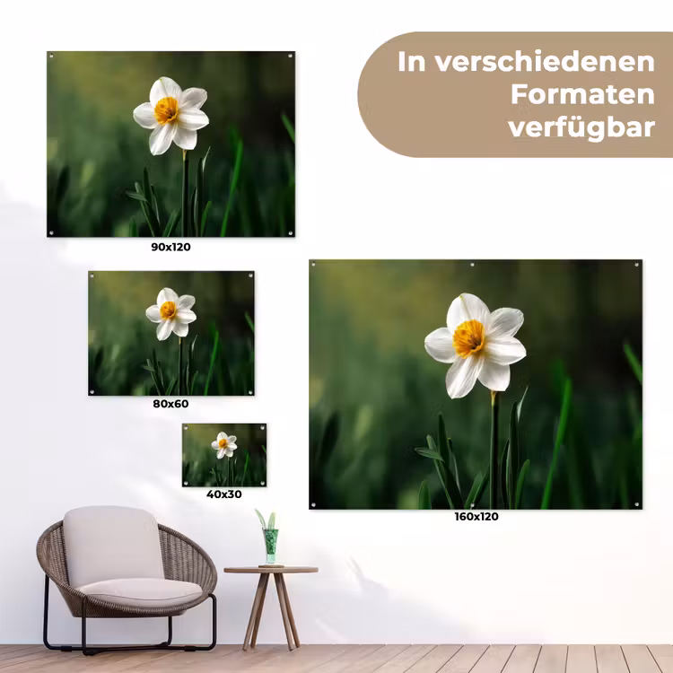 Narcis - Bloem - Wit - Grassprieten tuinposter los doek klein -Xsfeer9_DE